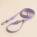 Side view of the Doxie Gang leash on a dachshund